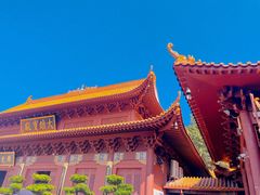 -深圳仙湖植物园