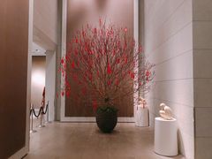 -The lounge 柏悦酒店大堂酒廊(上海环球金融中心店)