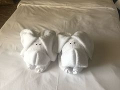 -三亚亚龙湾雅高铂尔曼别墅度假酒店