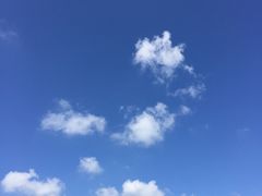 -乌兰布统草原