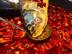 -销魂美蛙鱼头火锅(上海首店)