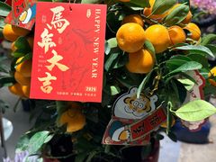 -双季花艺园艺市场(浦东店)