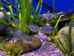 -上海海洋水族馆