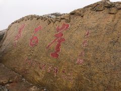 -苏木山森林公园