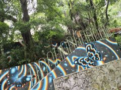 -深圳华侨城医院