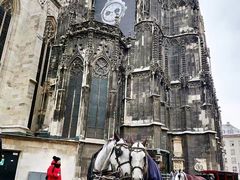 -斯蒂芬主教座堂(Stephansdom)