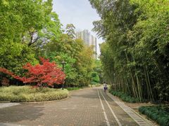 -苏州河梦清园环保主题公园