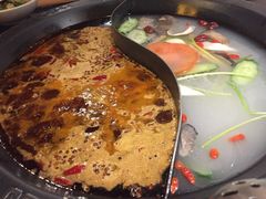 -杨家火锅(国美店)