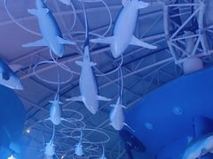 -烟台海昌鲸鲨海洋公园