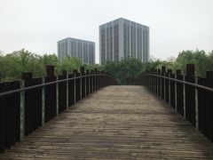 -南翔镇银翔湖公园