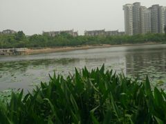 -新江湾城公园