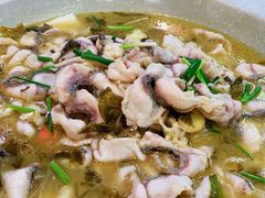 酸菜鱼-周正水煮活鱼·吊水鱼(万科店)