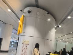 -麦当劳(北京大兴机场二层国内到达(安检外)店)