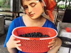 -金谷域澳洲庄园