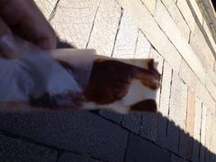 iphone_upload_pic-舌尖葱包烩