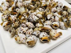 白灼海螺-渔文乐·海鲜大排档(壹品总店)