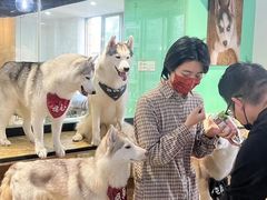 -Husky Go! 哈士奇体验馆·宠物咖啡厅狗咖