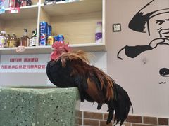 -重庆何乌鱼(南湖逸家店)