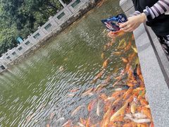 -桃花涧