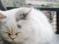 -老屋咖啡
