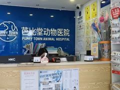 -芭比堂动物医院·心脏科·老年急重症·夜诊·吉雅分院