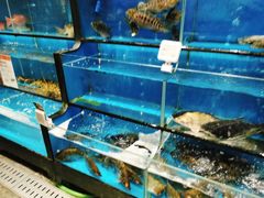 水产区-盒马鲜生(皇庭广场店)