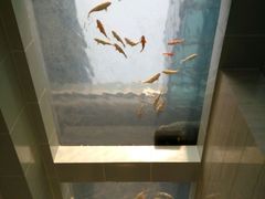 -上海长江河口科技馆