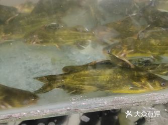 堆成小山的鱼片足够吃到撑，还送了小菜，瓜子，水果