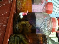 -徽州美食(三十年老店)