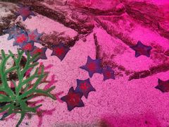 -沈阳海洋探索中心