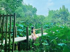 -乌村