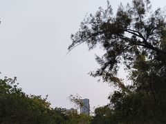 -东湖公园游乐场