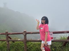 -涉地可支