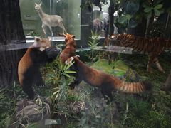 -国家自然博物馆