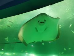 -苏州海洋馆