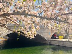 -元大都城垣遗址公园