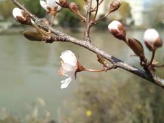 -锦溪古镇
