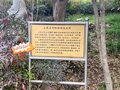 -九华山公园