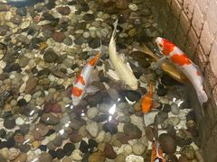 -苏浙汇(肇嘉浜路总店)