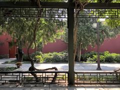 -北京市劳动人民文化宫(太庙)