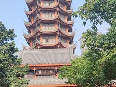 -塔子山公园