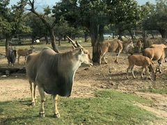 -西安秦岭野生动物园