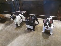 -LYFATTI 莱芙缇(赣水路店)