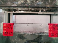 -小乡小镇·传承桐庐土菜·老板亲自烧的菜