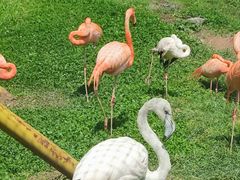 -哈尔滨北方森林动物园