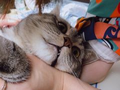 -美联众合动物医院(·中兽医·疑难杂症·严家桥分院)