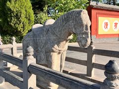 -洛阳白马寺