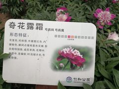 -仁和公园(顺义区)