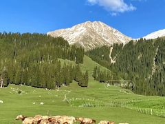 -新疆那拉提国家旅游度假区