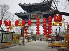 -大槐树寻根祭祖园